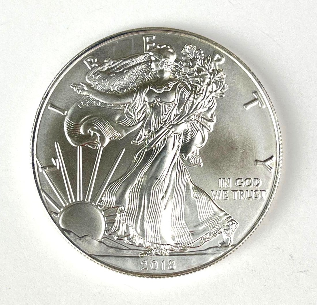 2018 US $1 American Silver Eagle 1 oz Fine Silver Coin (1 of 2)