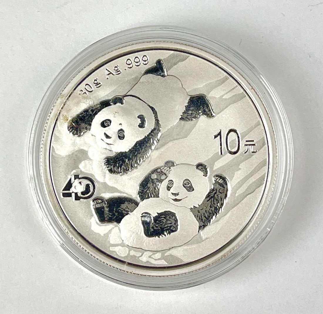 2022 China 10 Yuan Panda 30 Gram .999 Fine Silver Coin (1 of 2)