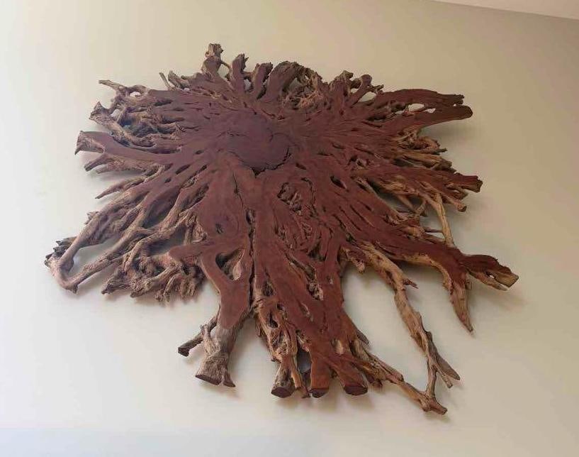 Large Natural Lychee Root Wall Slice Sculpture - 2