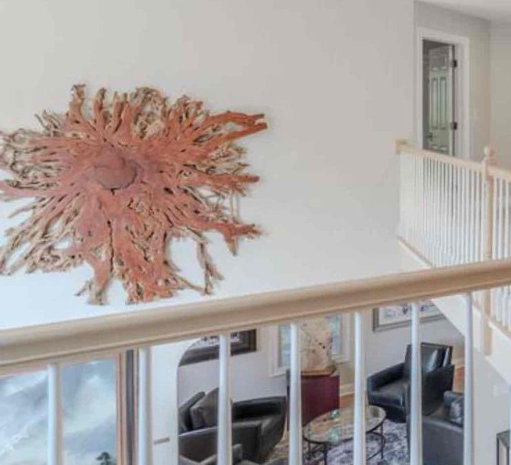 Large Natural Lychee Root Wall Slice Sculpture - 4