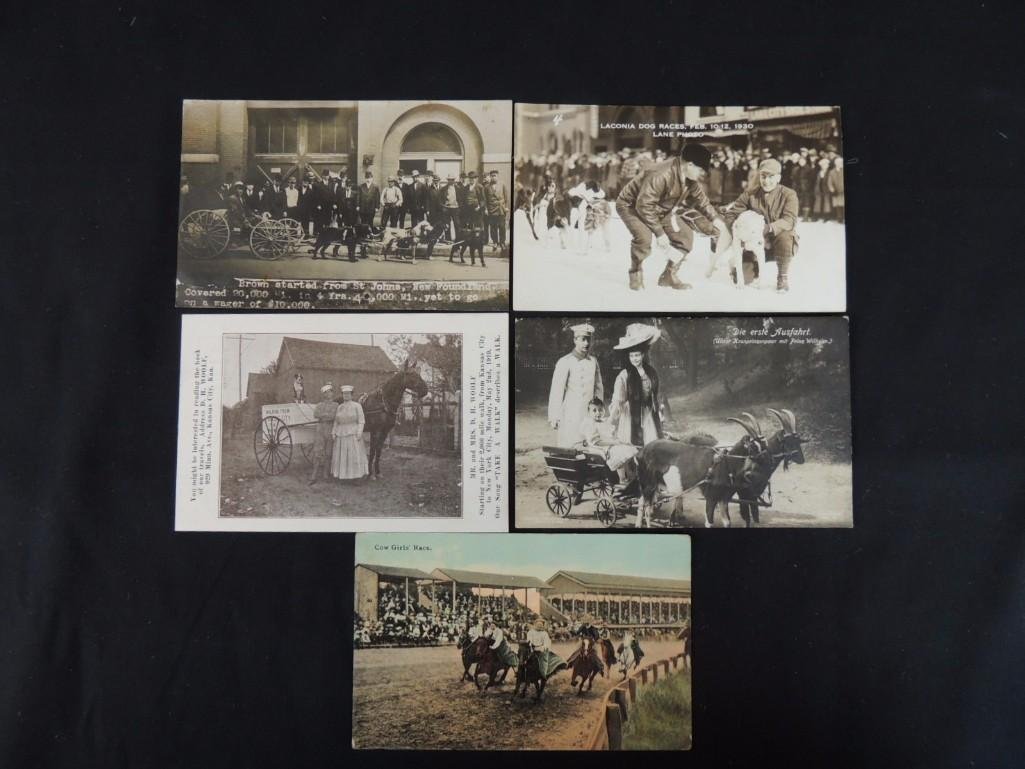 Group of 5 Postcards of Horse Drawn Carriages, Dog (1 of 4)