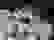 item-47391461=5
