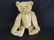 Antique Humpback Steiff Teddy Bear