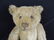 Antique Humpback Steiff Teddy Bear - 2