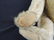 Antique Humpback Steiff Teddy Bear - 3