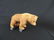 Antique Steiff Pull Along Teddy Bear with Wheels - 3