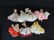 Group of 7 Madame Alexander Dolls