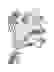 item-50822055=2