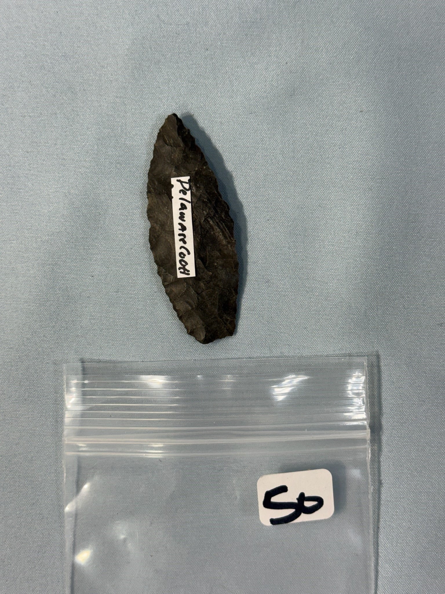 Paleo Lance - 2