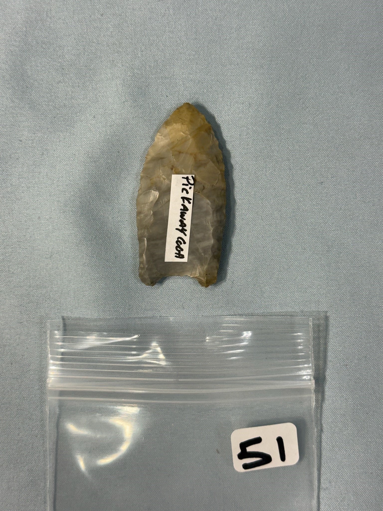Paleo Clovis - 2