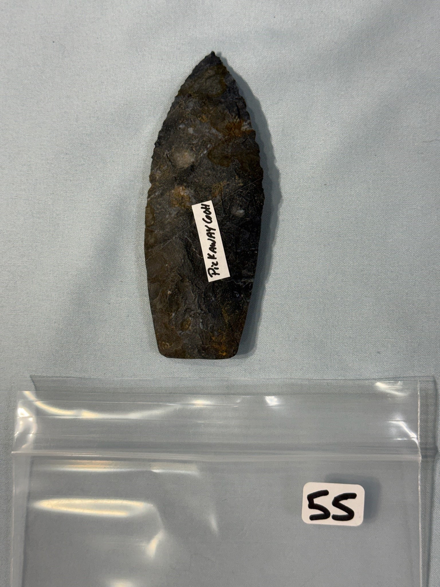 Paleo Lance - 2