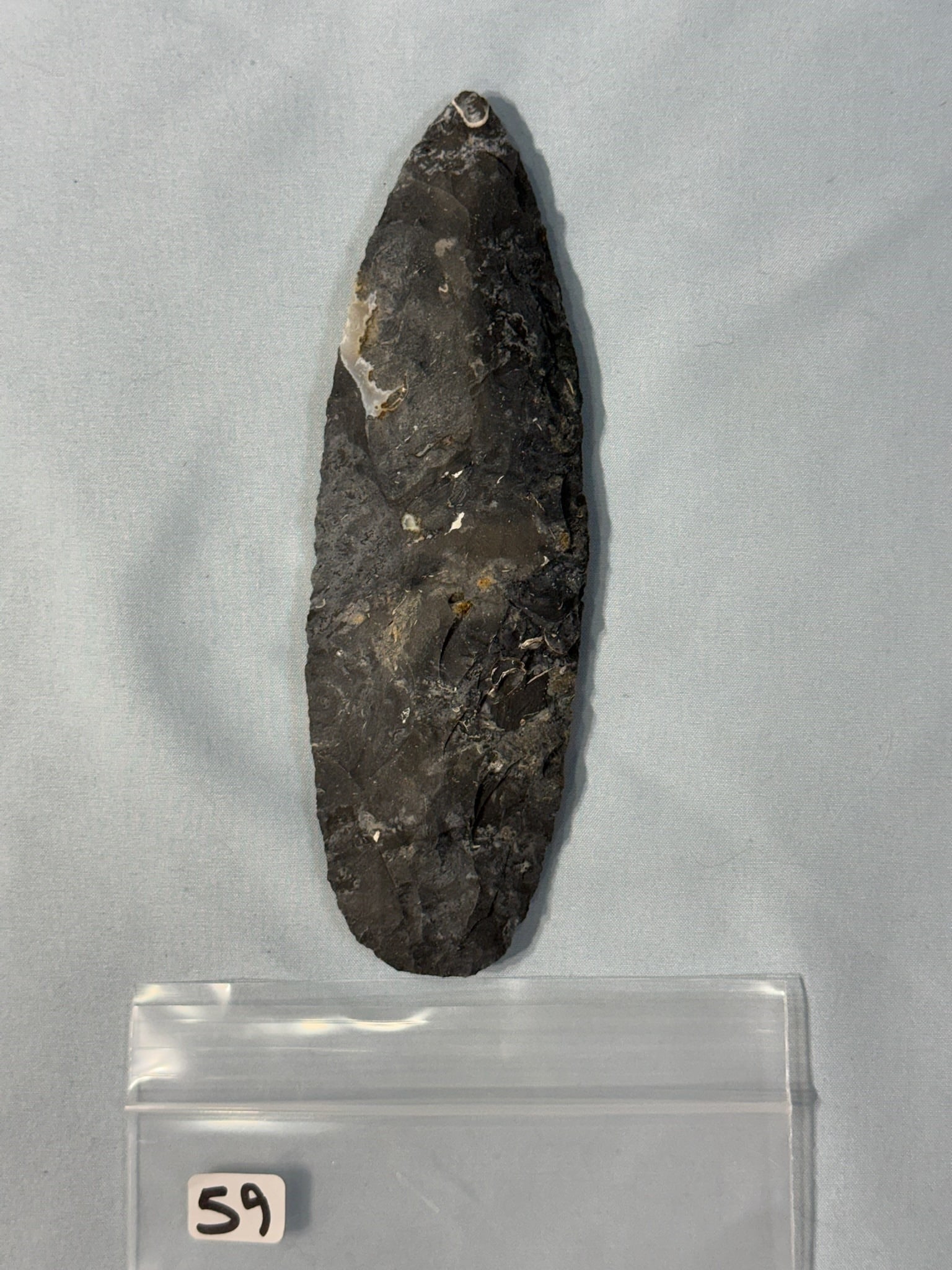 Black Coshocton Blade, Late Paleo: 6 3/4 in. Black Coshocton Blade, Late Paleo - Quartz Inclusions - Coshocton County Ohio.