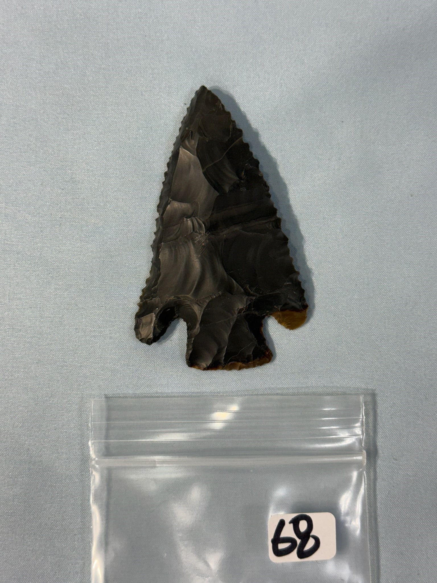 Serrated Corner Knotch: 3 1/2 in. Serrated Corner Notch Bevel - Kentucky.