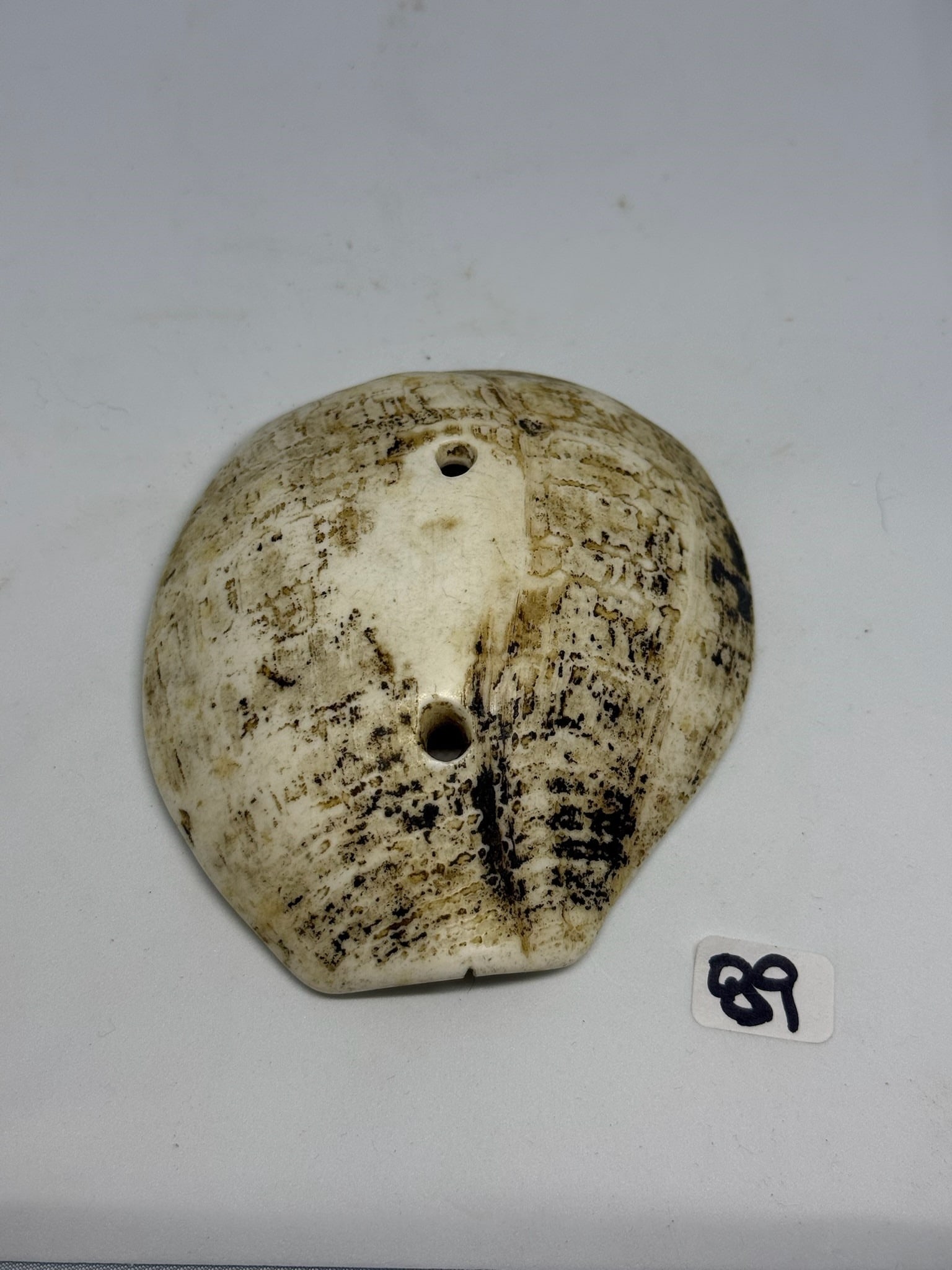 Shell pendent: 4 1/2 in. Shell Gorget - Scioto County Ohio.