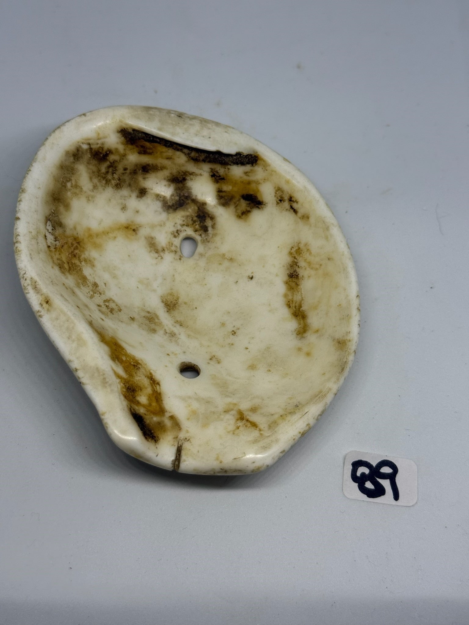 Shell pendent - 2
