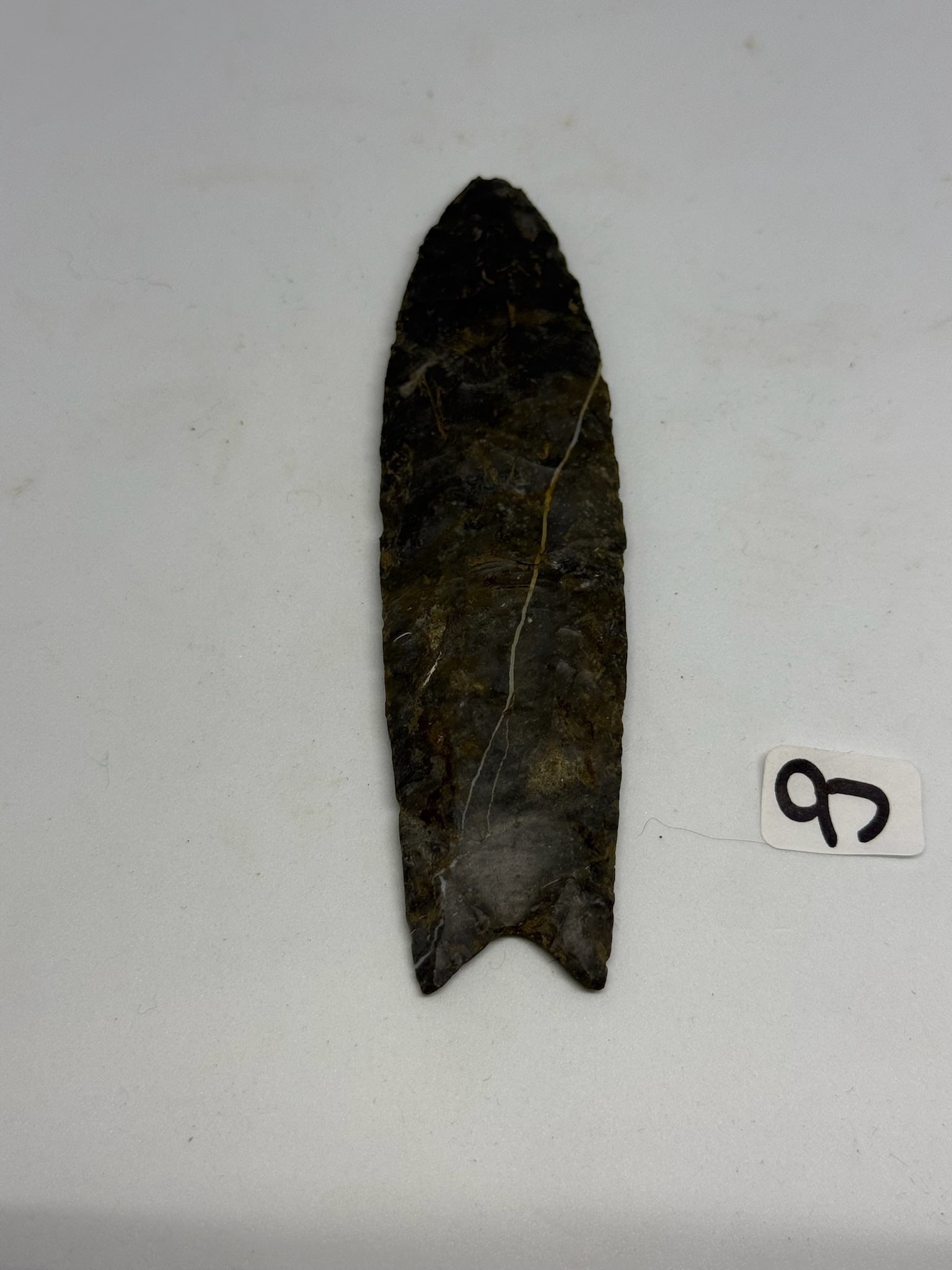 Fluted Clovis (1 of 2)