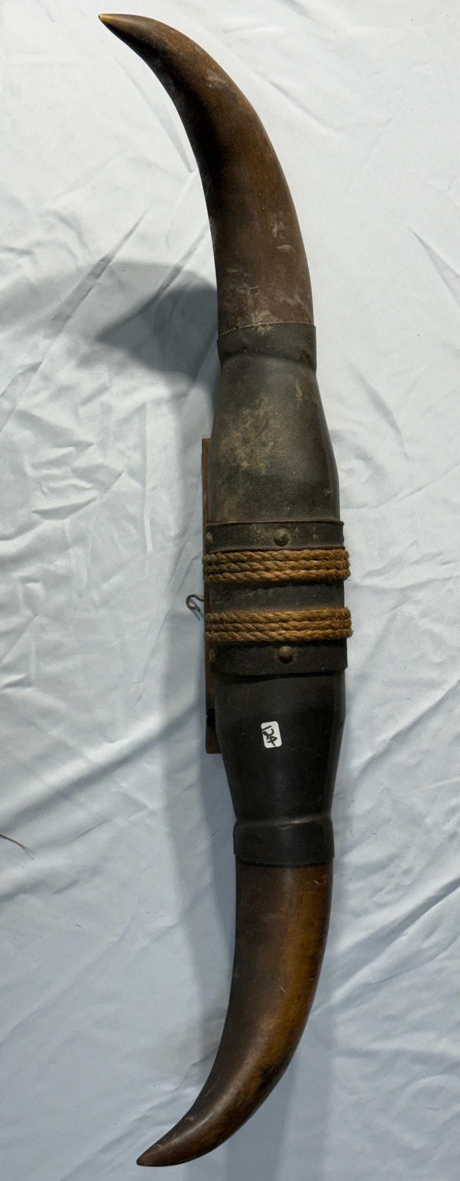 Mounted steer horns: Mounted Steer Horns - 30 1/2 in. - 1920's.