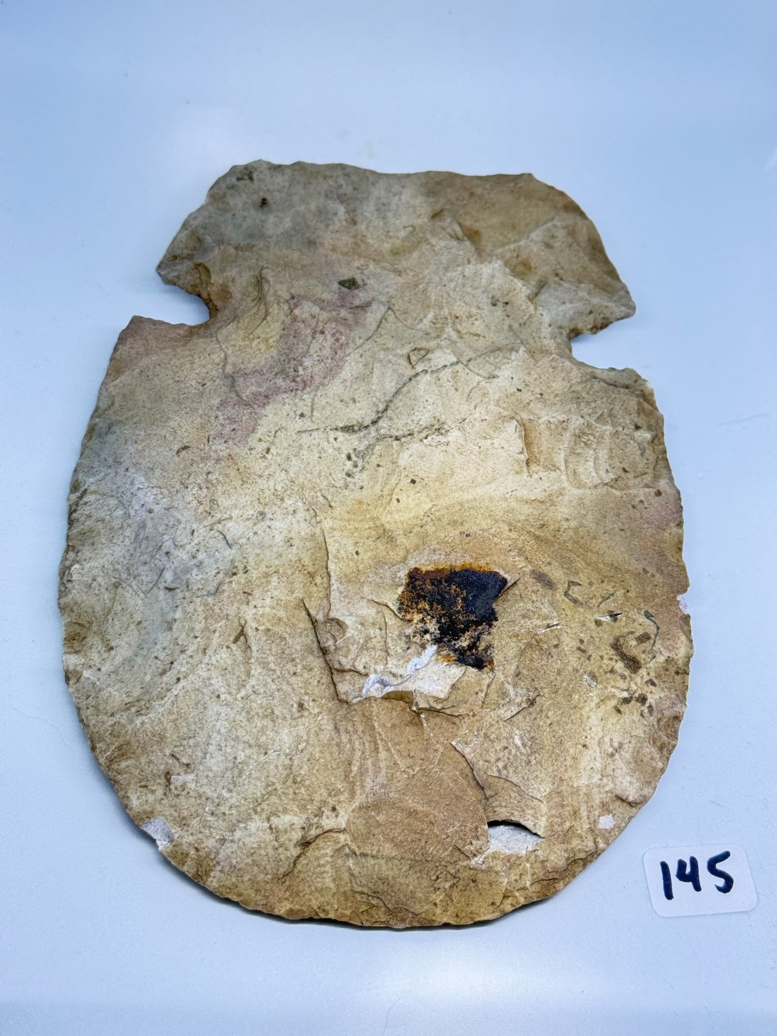 Notched flint hoe (1 of 2)