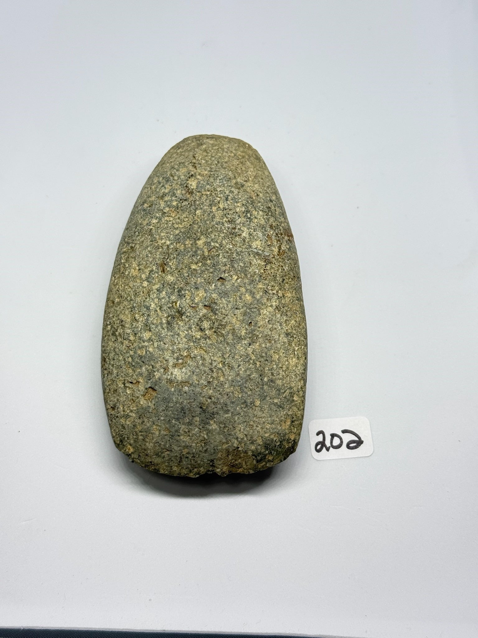 Granite Celt: 4 1/2 by 2 1/4 Granite Celt - Putnam County Ohio - Ex Diller.