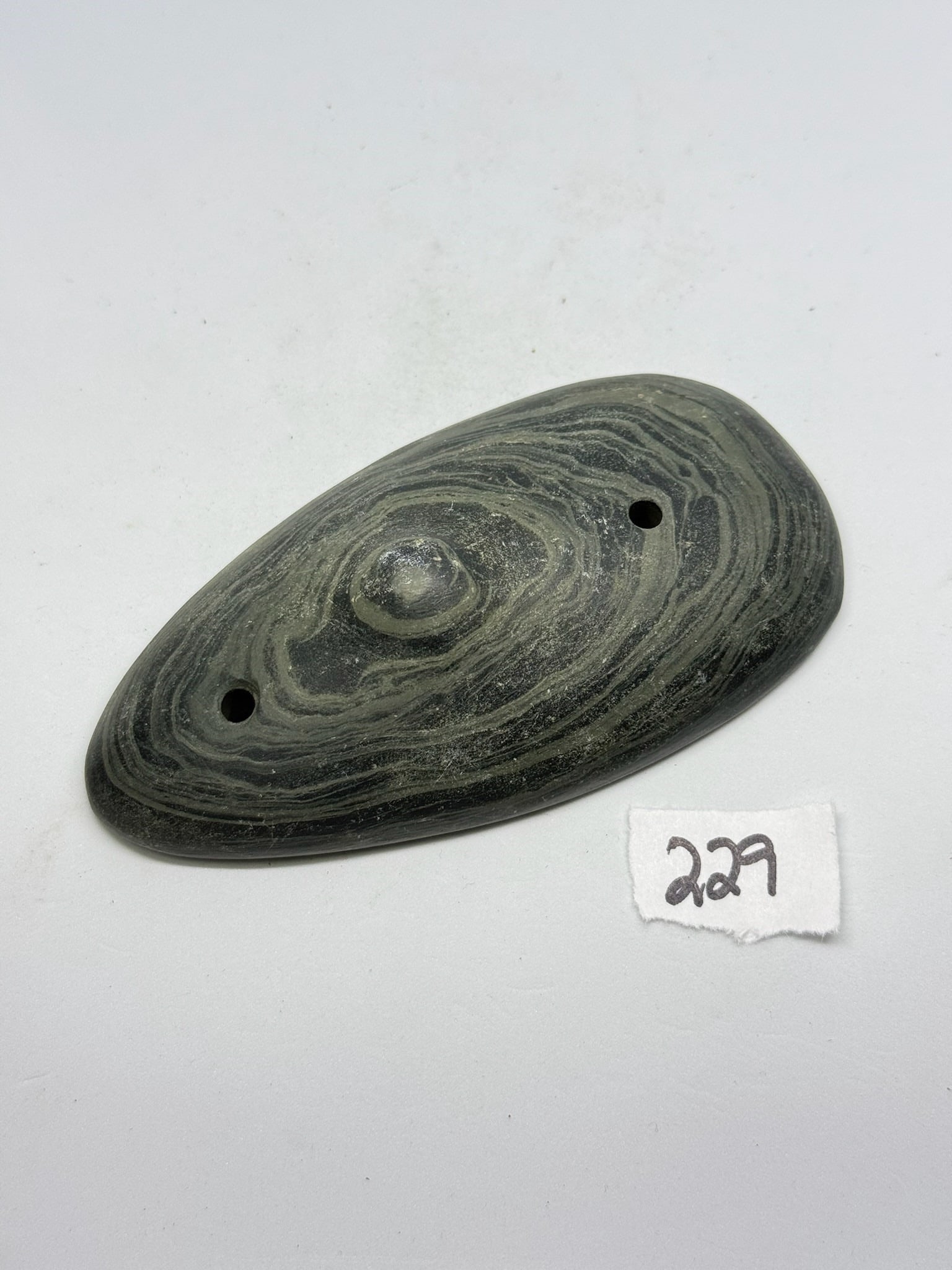 Banded Slate Spineback Gorget (1 of 2)