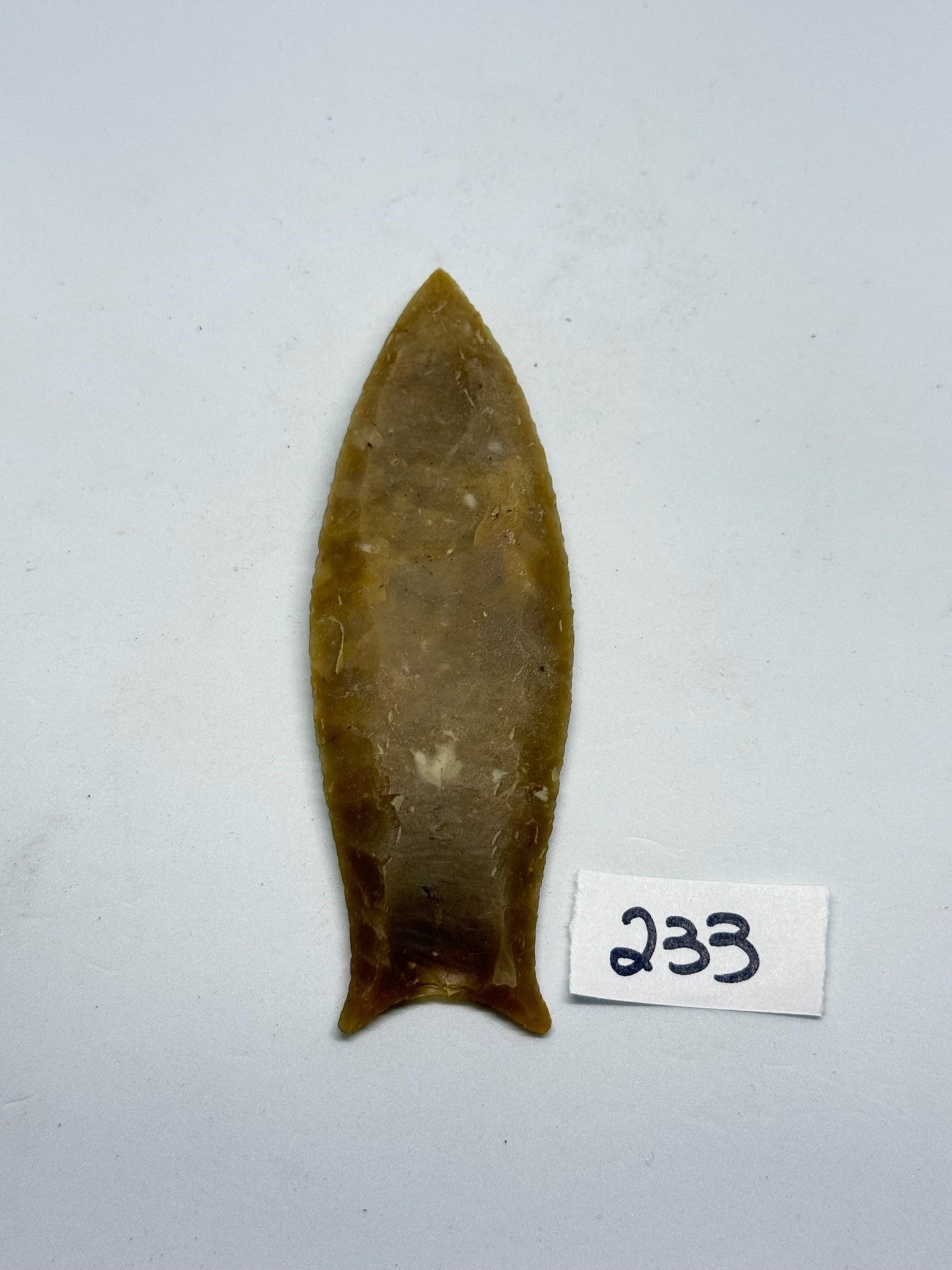Fluted Point (1 of 2)