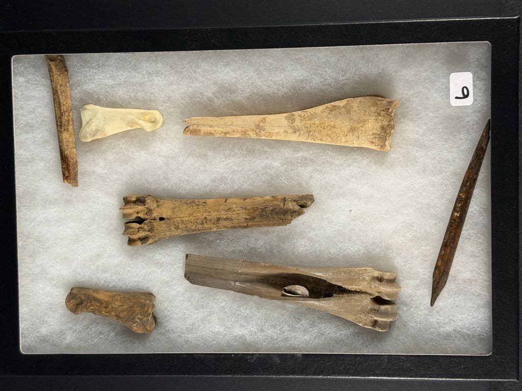 Frame of Deer Bone Scrapers and Needles (1 of 2)