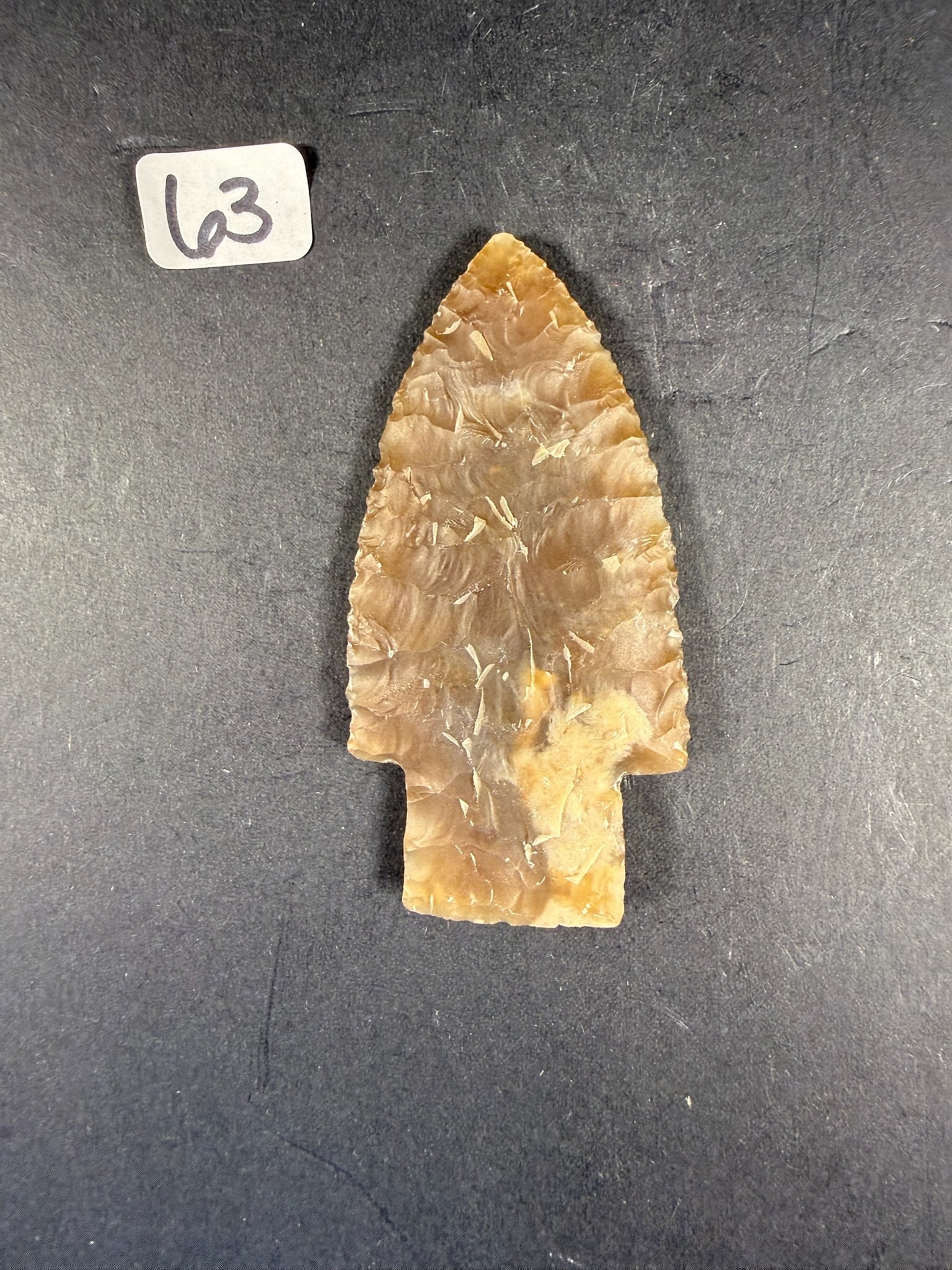 Translucent Scottsbluff (1 of 3)