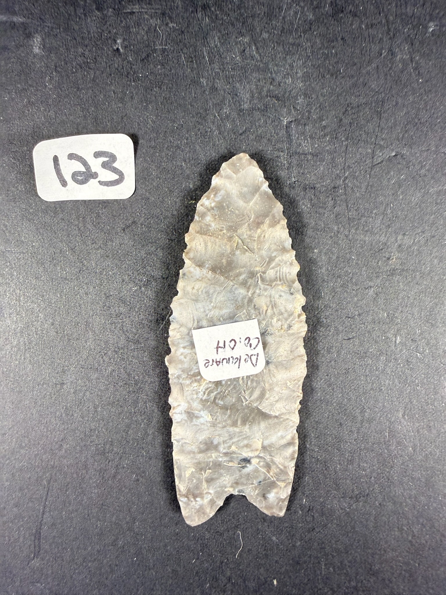 Paleo Clovis (1 of 1)