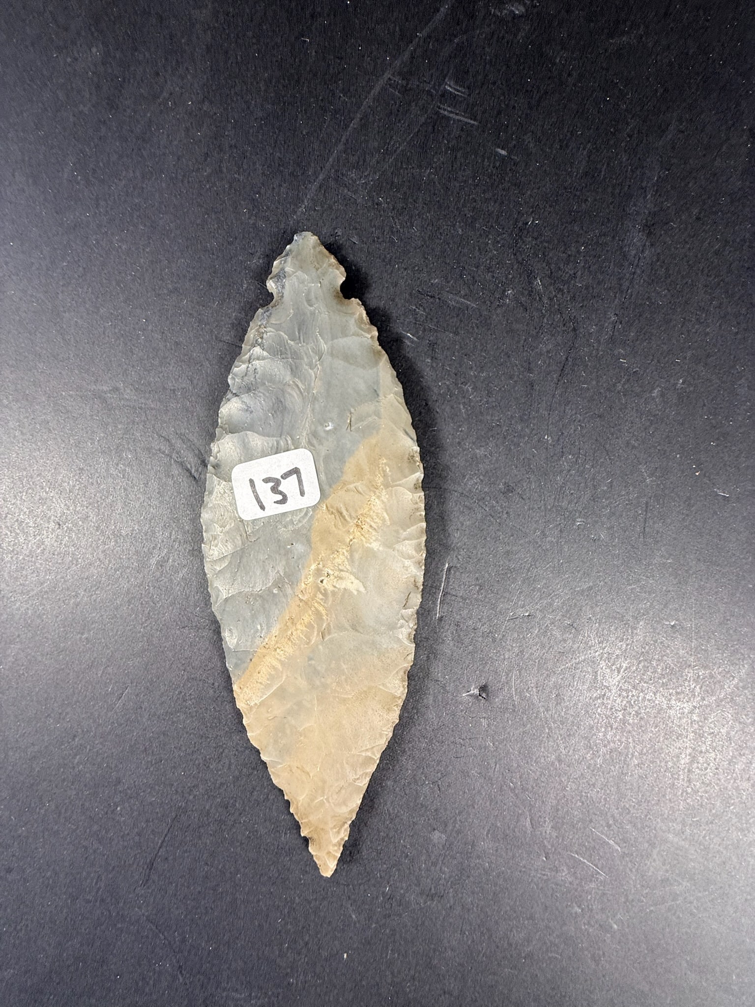 Turkey Tail: 6" Turkey Tail artifact point - comissioned by Pete Diller 1 of 7