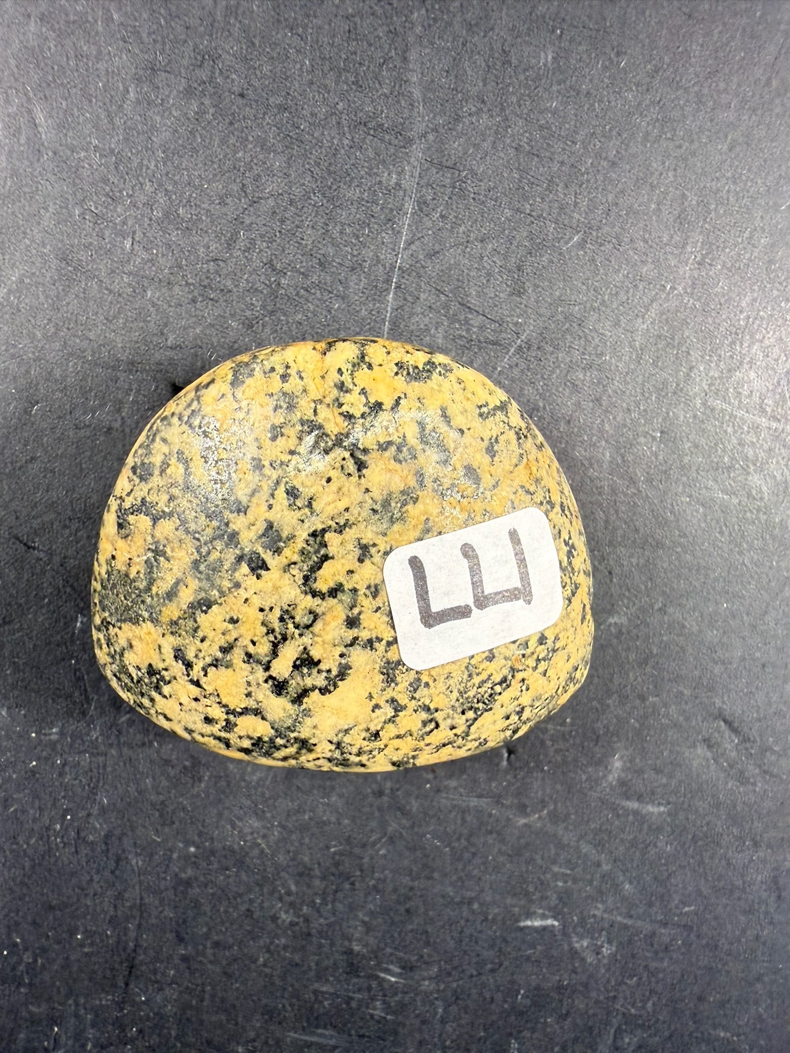 Banner Stone: 2 1/4 by 1" Granite Sheild Banner Stone - Lexington, Kentucky