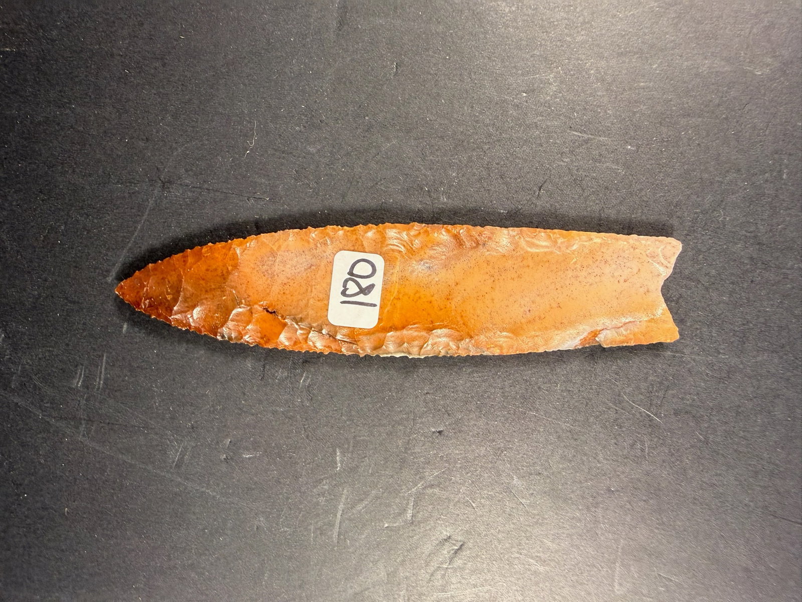 Clovis: 5 3/4" Clovis - Midwest