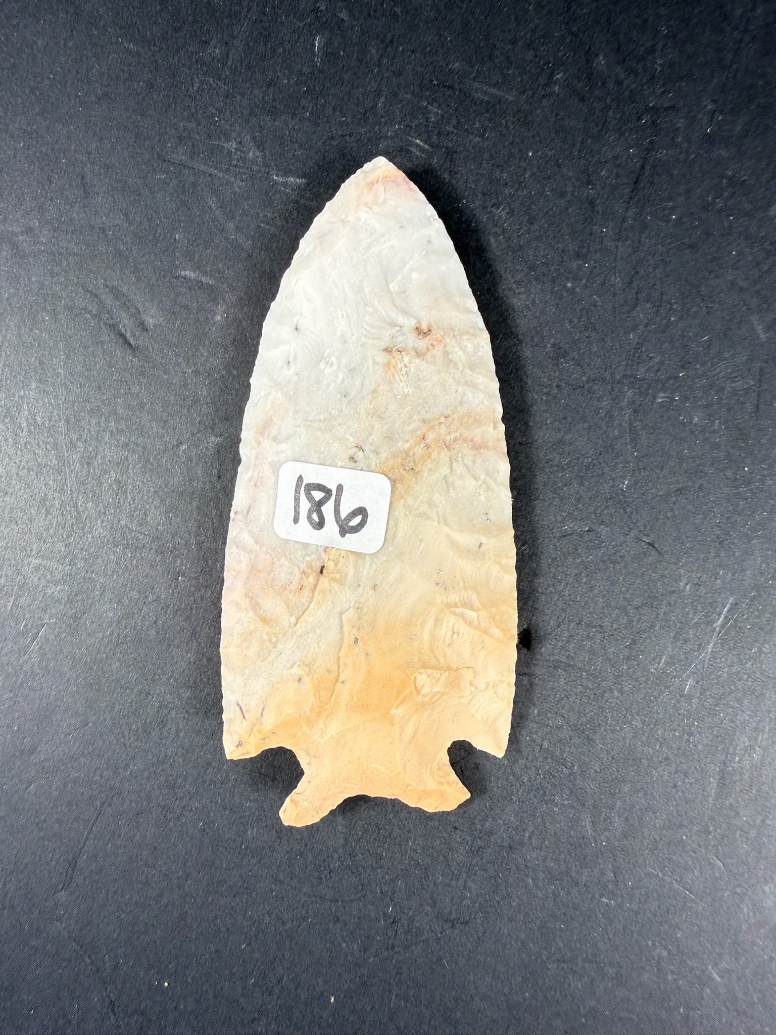Bifurcate: 4 1/4" Bifurcate - Missouri