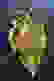 item-54924985=2