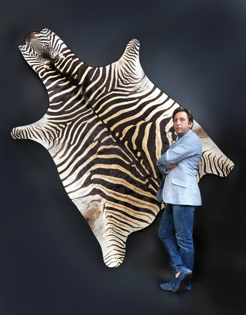 Authentic Real Zebra Rug (1 of 3)