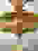 item-62401037=7