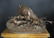 19th C. French Bronze "P.J Mene" Animal Group Statue - 4