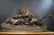 19th C. French Bronze "P.J Mene" Animal Group Statue - 5