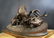 19th C. French Bronze "P.J Mene" Animal Group Statue - 6