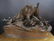 19th C. French Bronze "P.J Mene" Animal Group Statue - 7