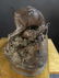 19th C. French Bronze "P.J Mene" Animal Group Statue - 8
