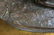 19th C. French Bronze "P.J Mene" Animal Group Statue - 9