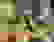 item-89371024=2