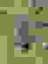 item-46491254=2