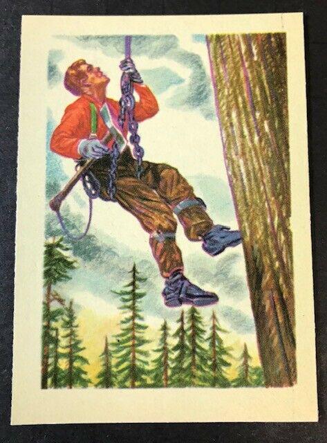 1956 GUM CO. ADVENTURE SERIES TRADING CARD EXMT+: 1956 Adventure Gum #74 IN THE GREAT NORTHWEST