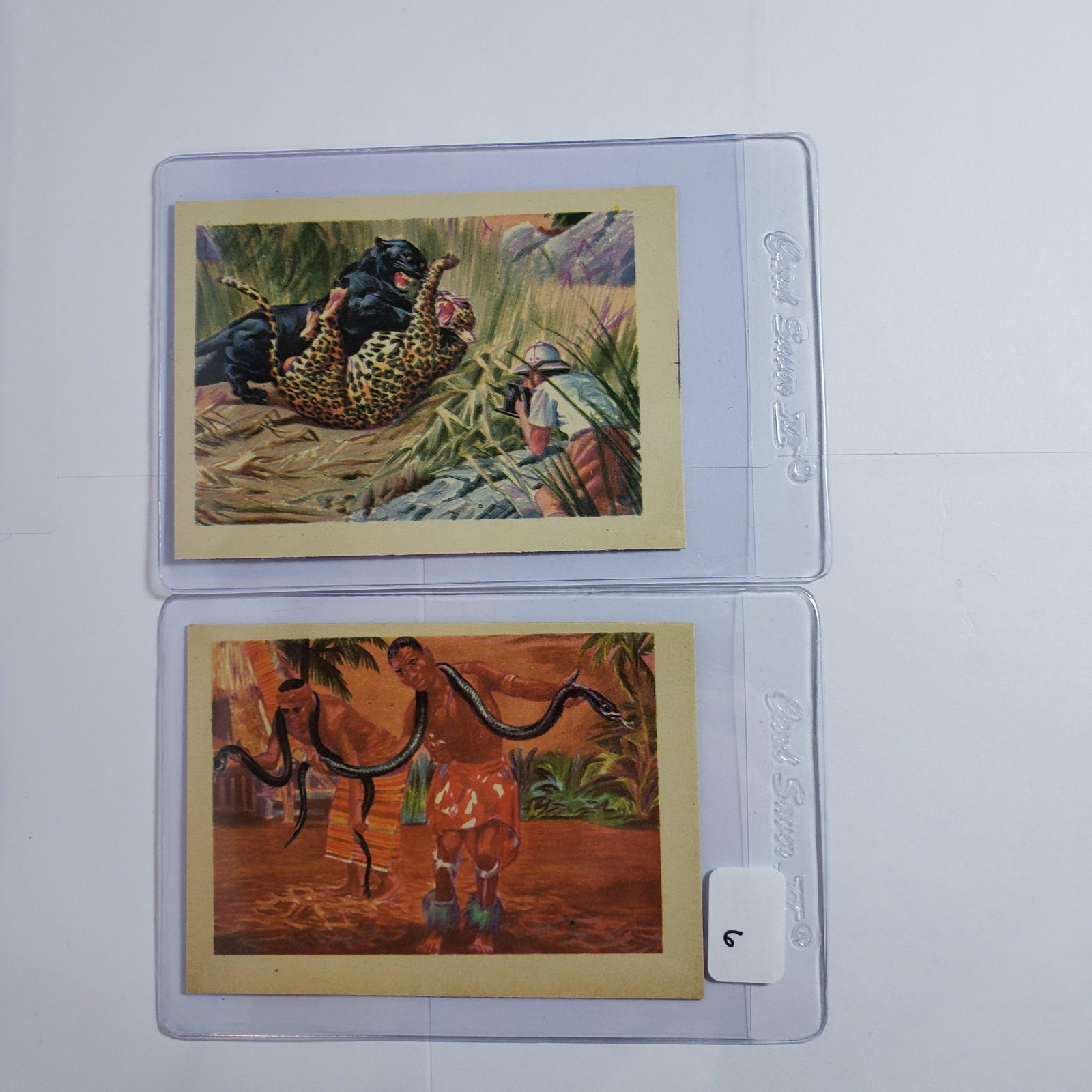 VINTAGE ADVENTURE SERIES TRADING CARDS 1956 EXMT+: GUM PRODUCTS INC. 1956 ADVENTURE SERIES CARD #19 A TOURIST PARADISE, #37 NO CIRCUS STUNT THIS