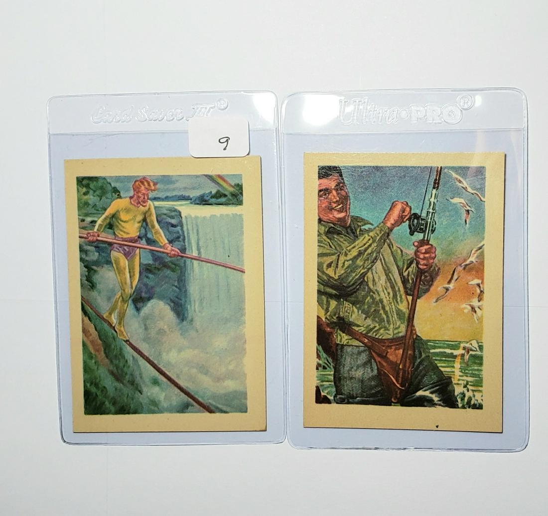 1956 GUM PRODUCTS ADVENTURE TRADING CARDS: HIGH GRADE NM LOT WITH CARD #37 THIS IS NO CIRCUS STUNT, #72 A FISHERMAN'S LIFE IS HAPPY