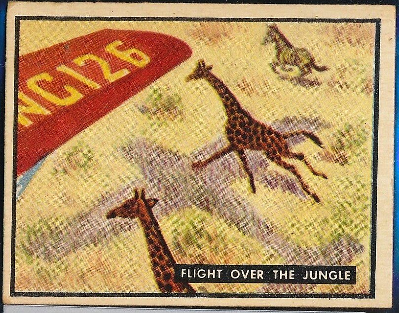 1950 Bring: 1950 Bring 'Em Back Alive #12 Flight Over the Jungle