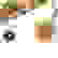 item-51254842=2