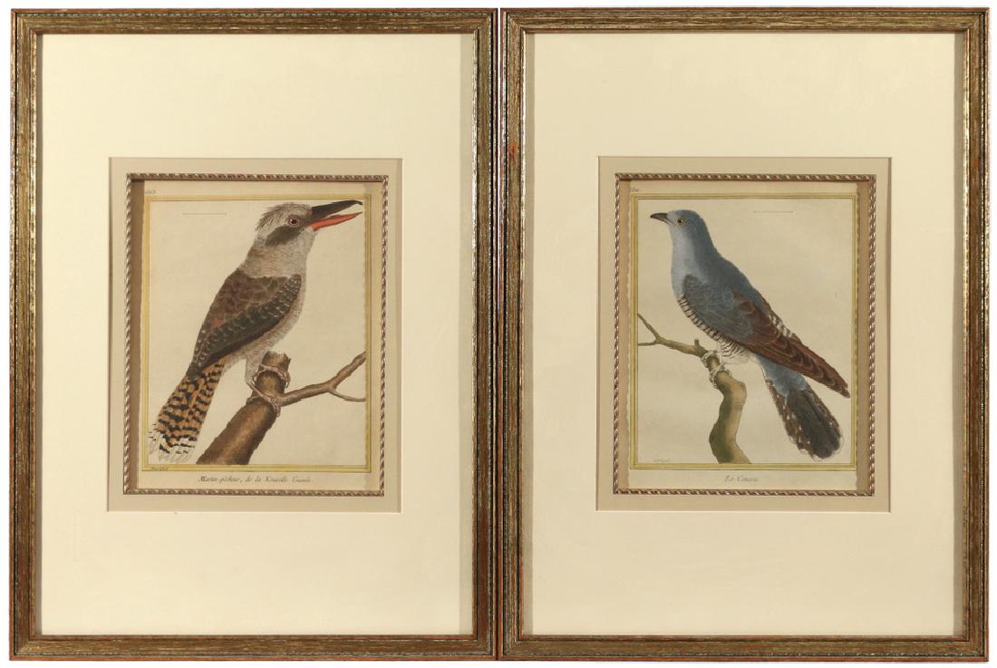 (2pc) FRANCOIS NICHOLAS MARTINET: colored engravings depicting birds, framed overall: 20 x 15 in. (each) Provenance: From a Riverside, CT estate