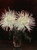 (2pc) AMERICAN SCHOOL STILL LIFES - 2